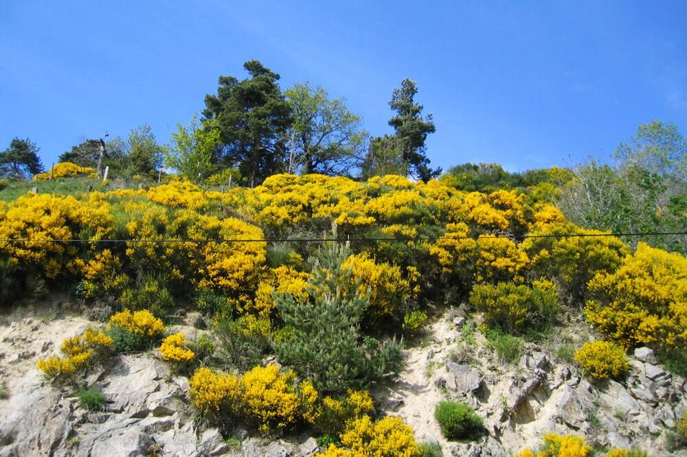 Photo of Outdoor in Le Malzieu-Forain