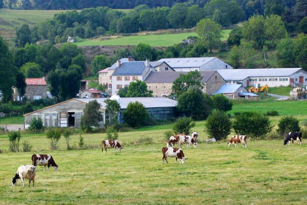 Photo of Others in Le Malzieu-Forain