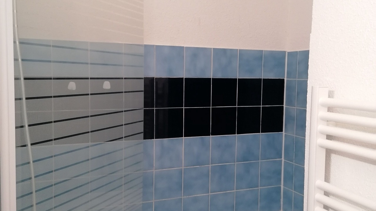 Photo of Bathroom in Saint-Francois-Longchamp