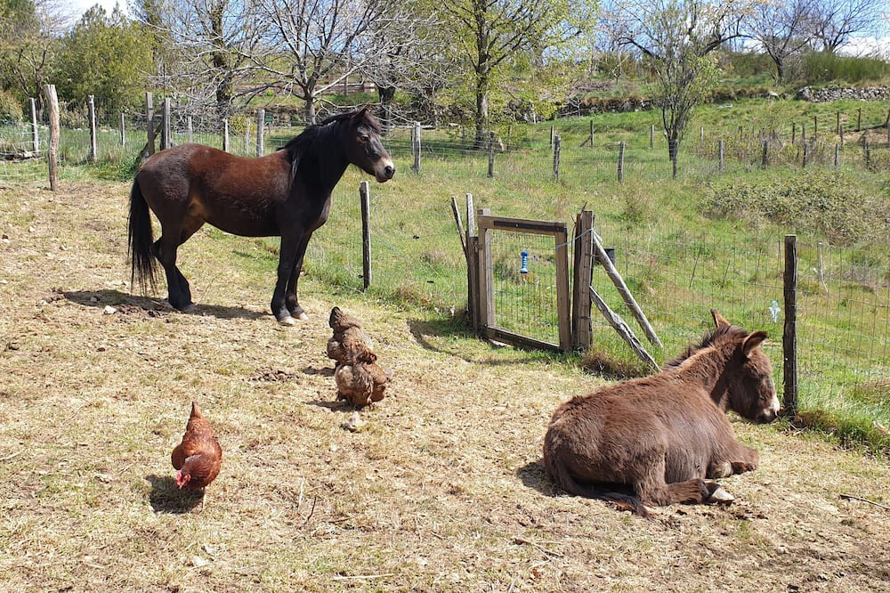 Photo of Others in La Souche