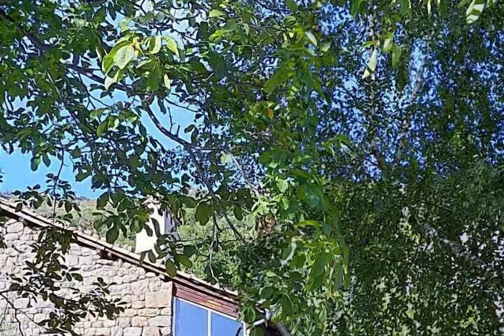Photo of Outdoor in La Souche