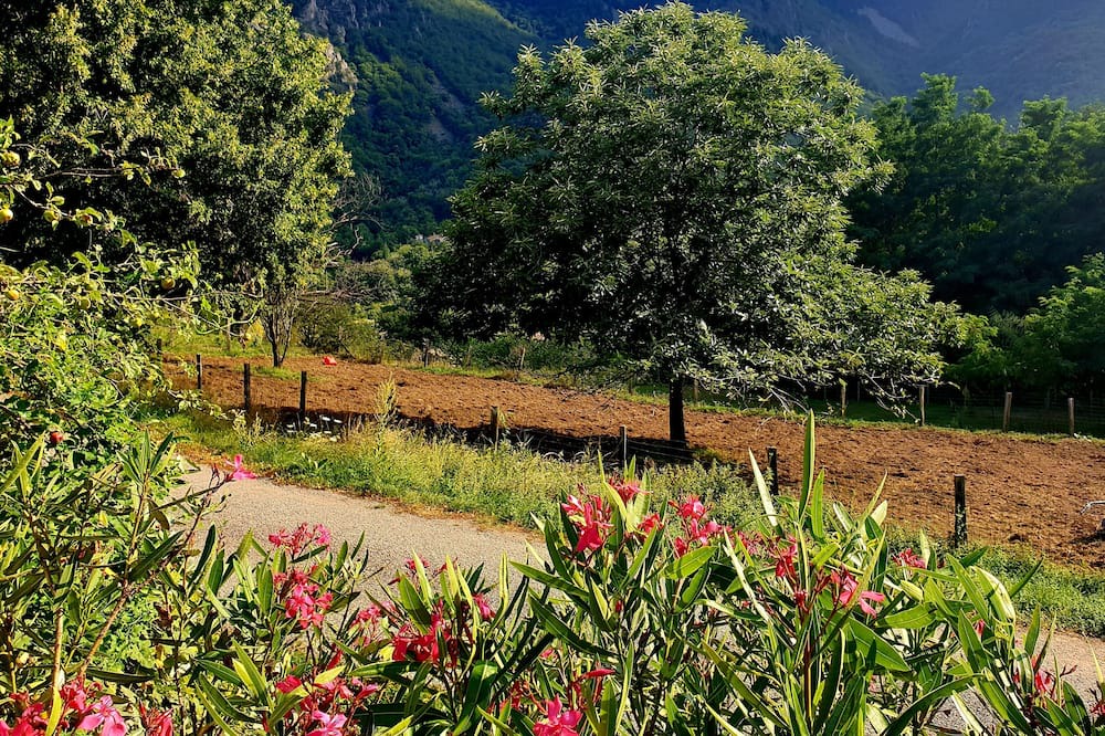 Photo of Outdoor in La Souche