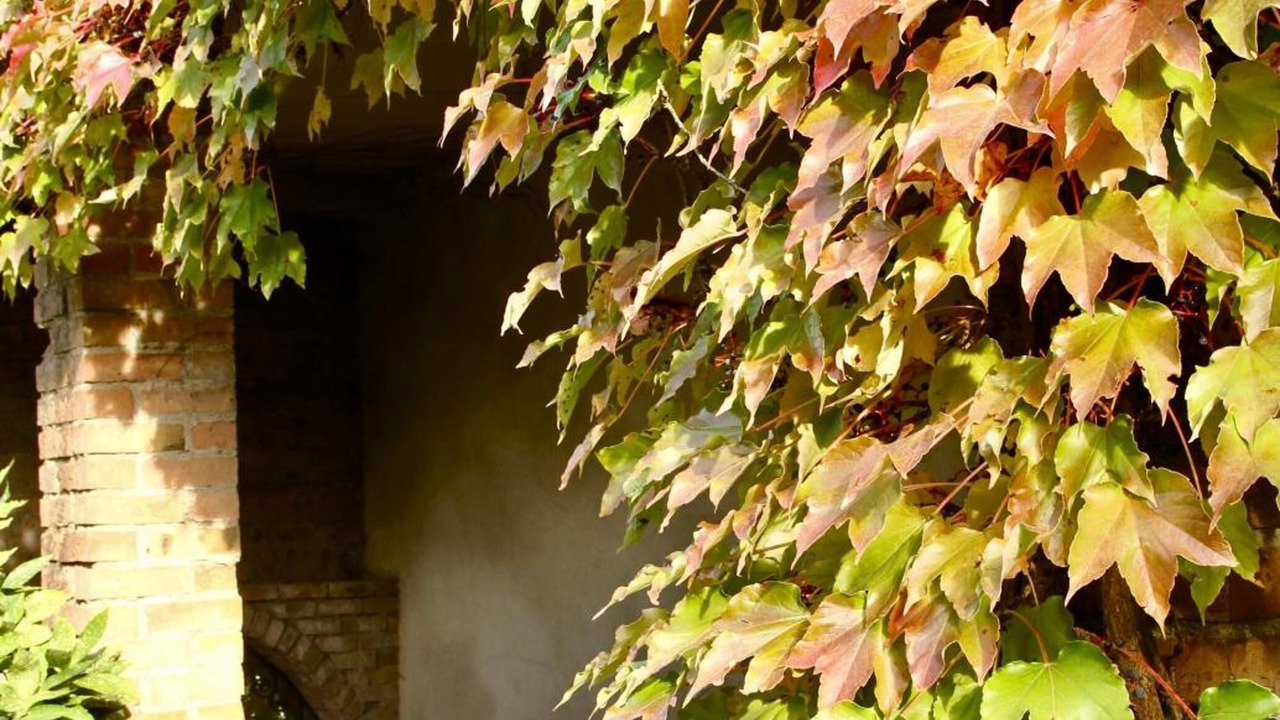Photo of Outdoor in Saint-Martin-de-Valgalgues