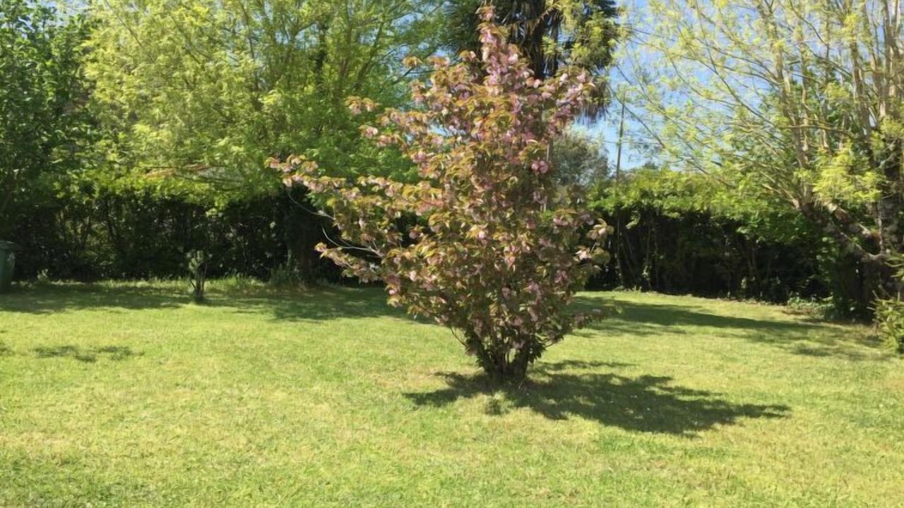 Photo of Outdoor in Gaillan-en-Medoc