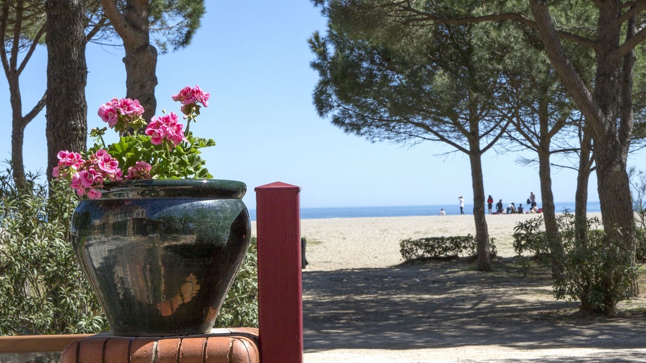 Photo of Others in Argeles Plage