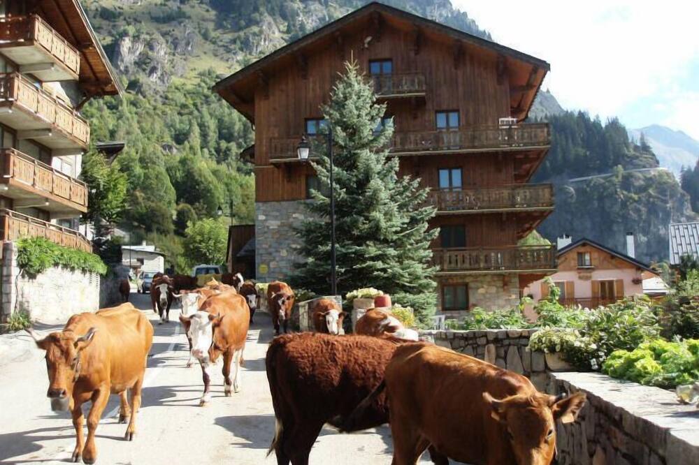 Photo of Outdoor in Champagny-en-Vanoise