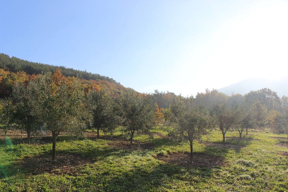 Photo of Outdoor in Cliousclat