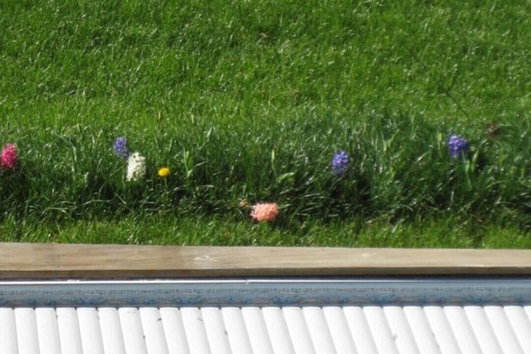 Photo of Others in Roquefeuil