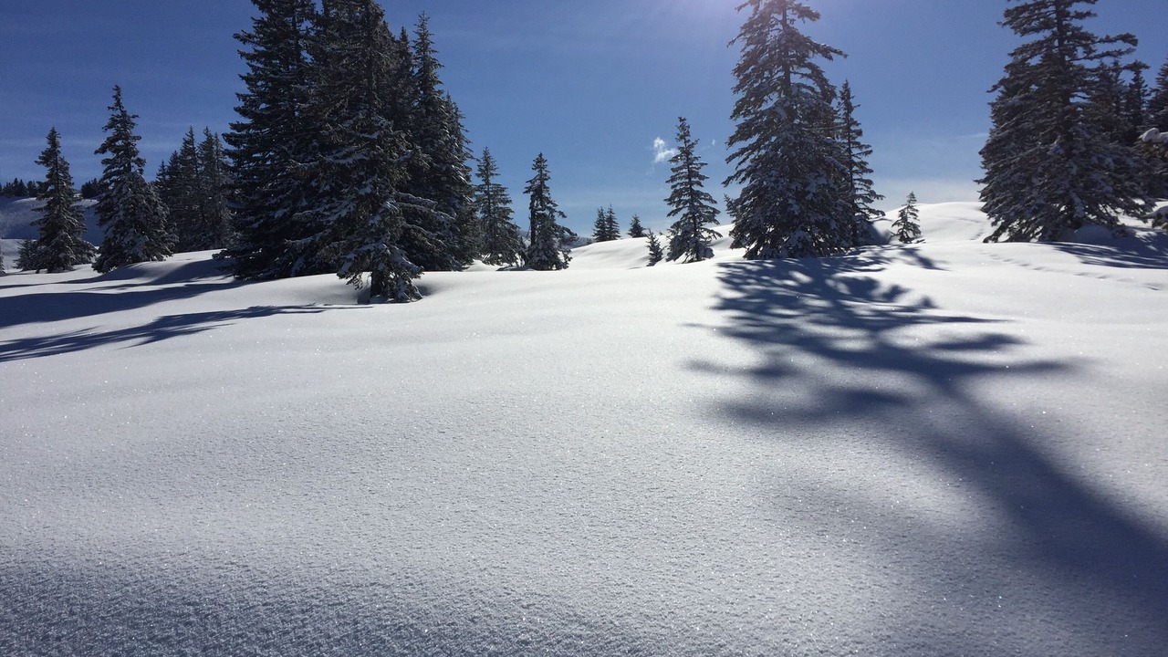 Photo of Outdoor in Villard-sur-Doron