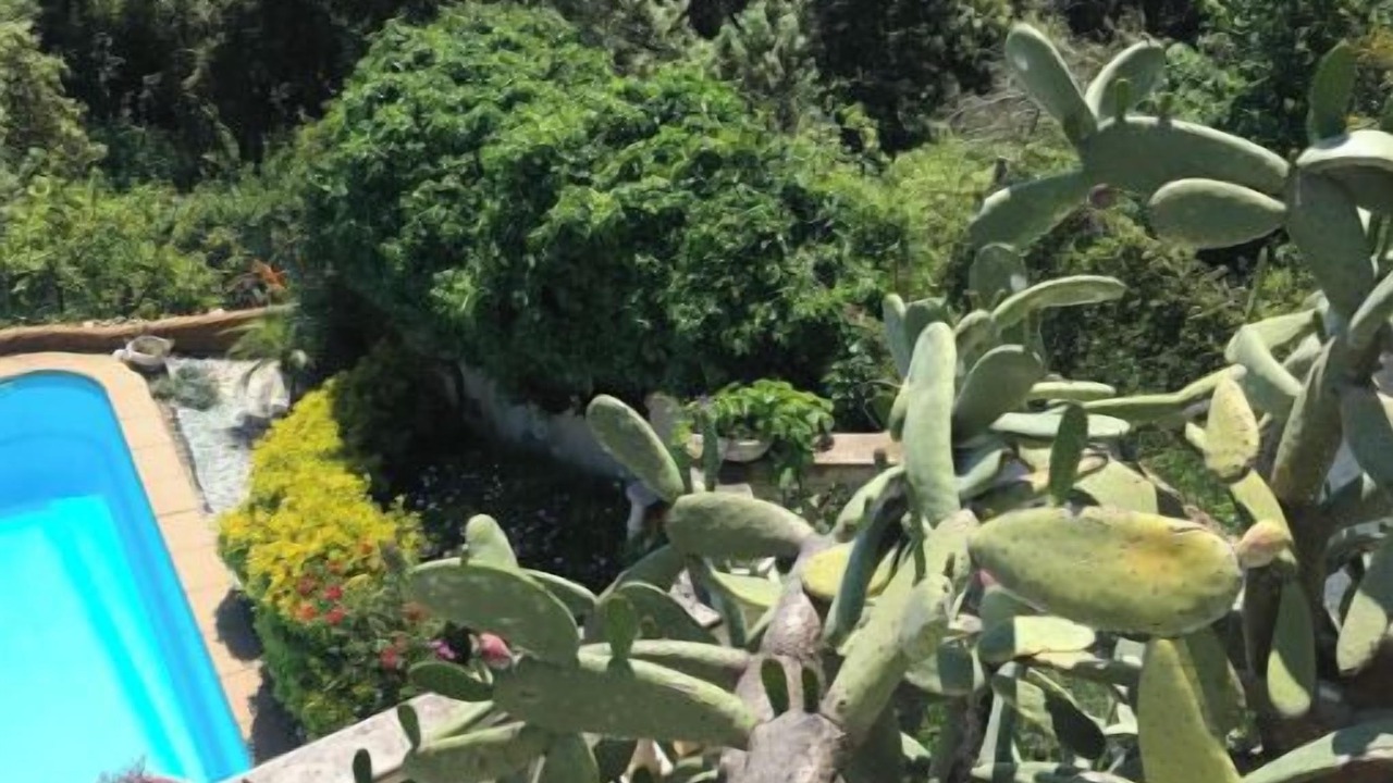 Photo of Outdoor in Santa Susanna