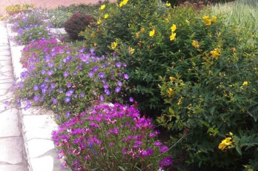 Photo of Outdoor in Fillols
