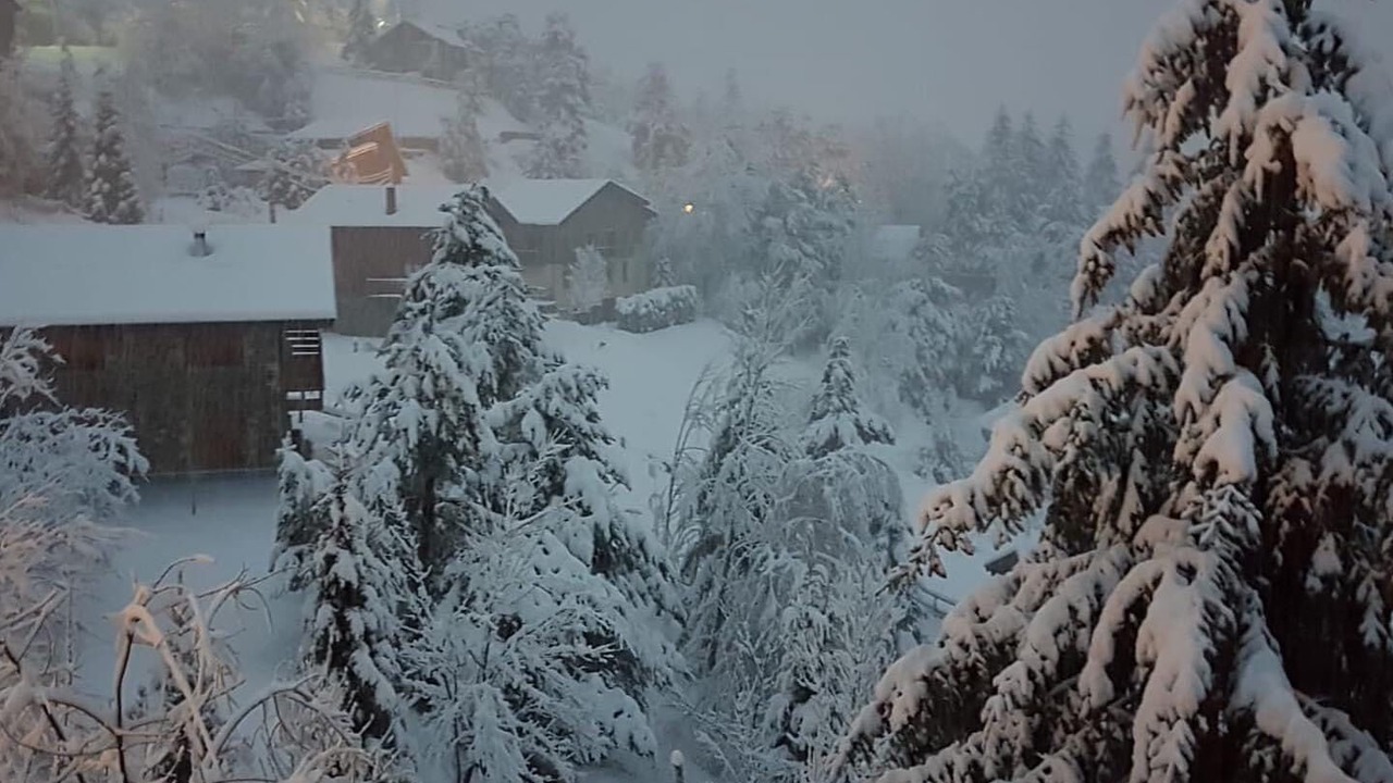 Photo of Outdoor in La Molina