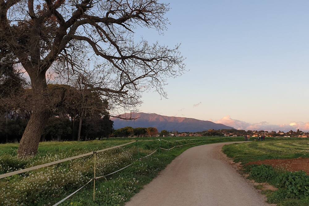 Photo of Outdoor in Cardedeu