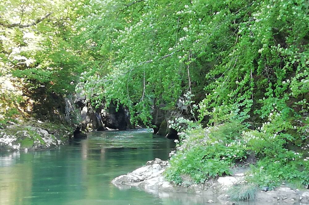Photo of Others in Viuz-la-Chiesaz