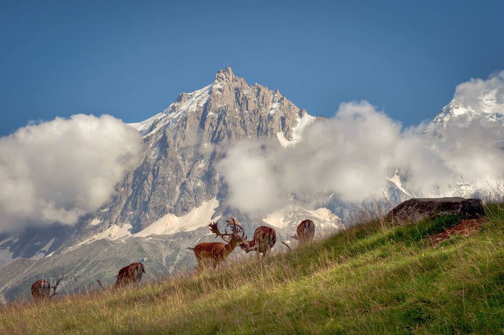 Photo of Outdoor in Viuz-la-Chiesaz