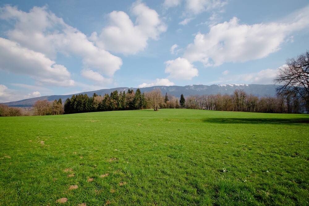 Photo of Others in Viuz-la-Chiesaz
