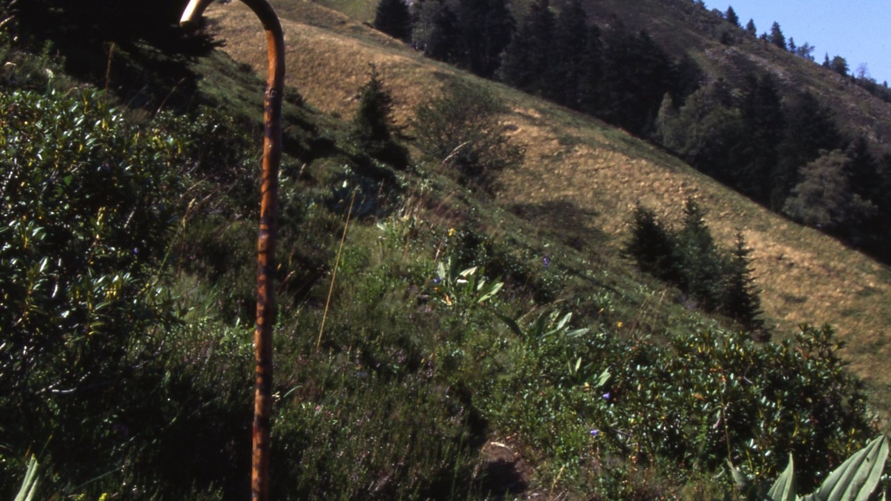 Photo of Outdoor in Bagneres-de-Luchon