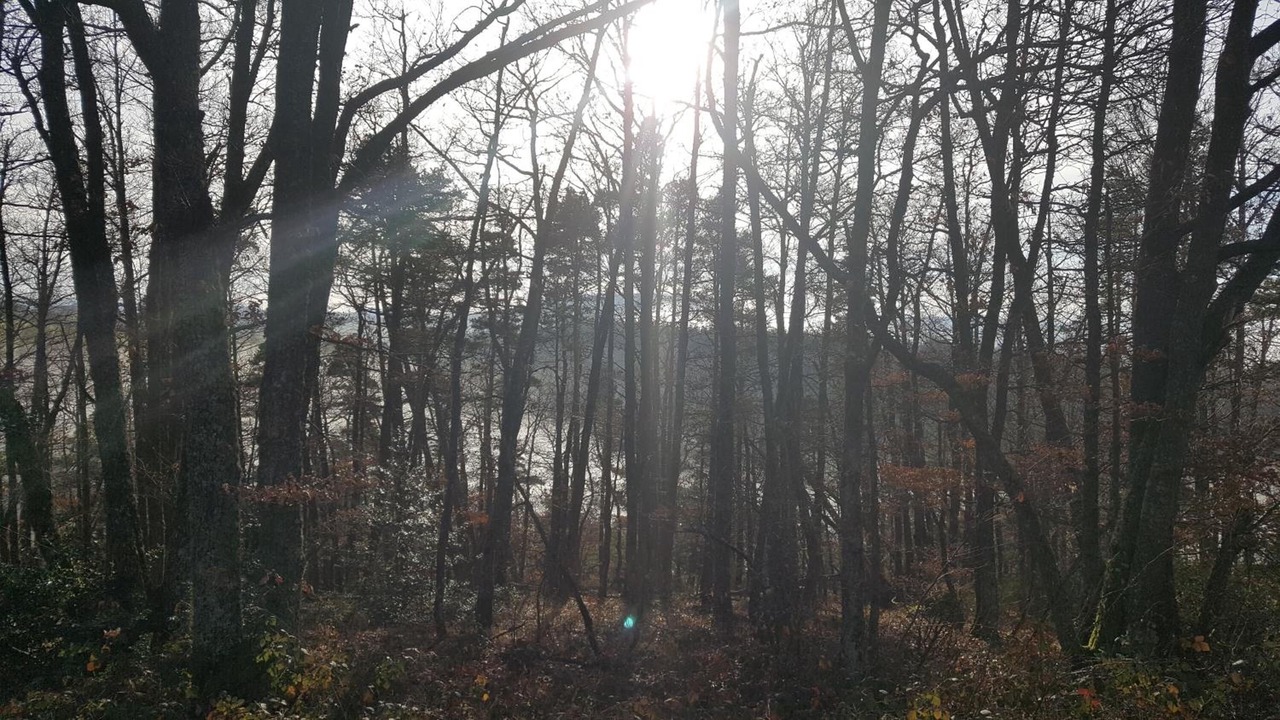 Photo of Outdoor in Andelat