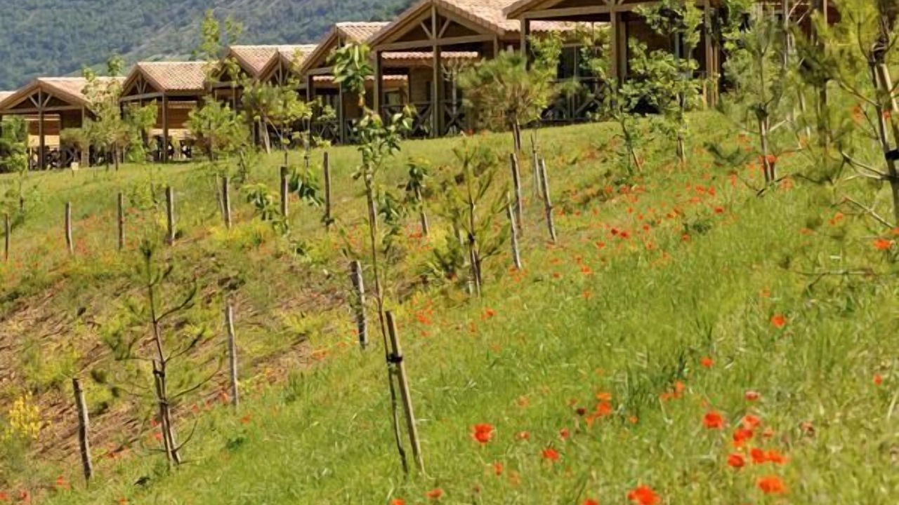 Photo of Outdoor in Millau