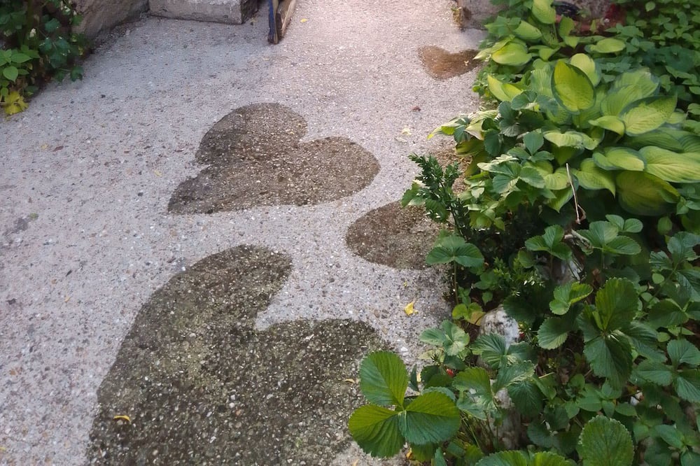 Photo of Outdoor in Montirat