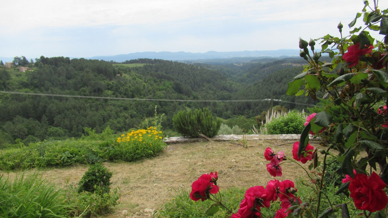 Photo of Outdoor in Planzolles