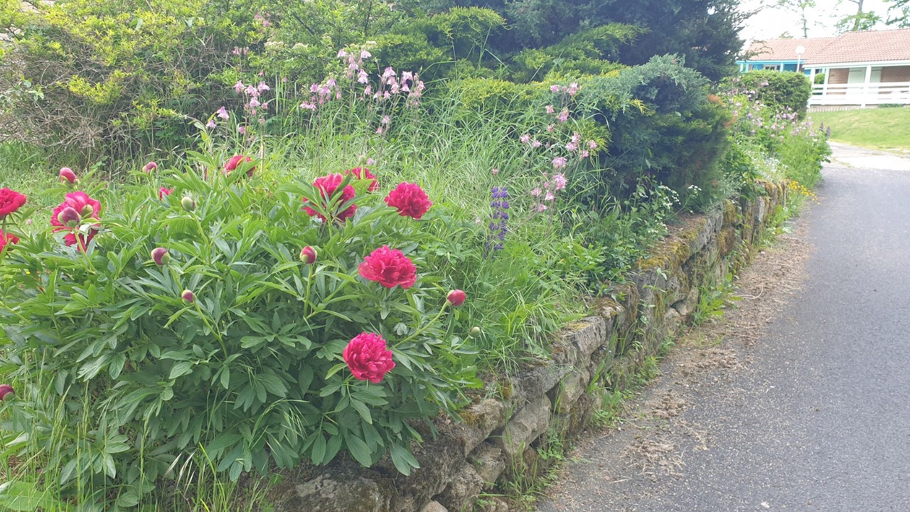Photo of Outdoor in Blavignac