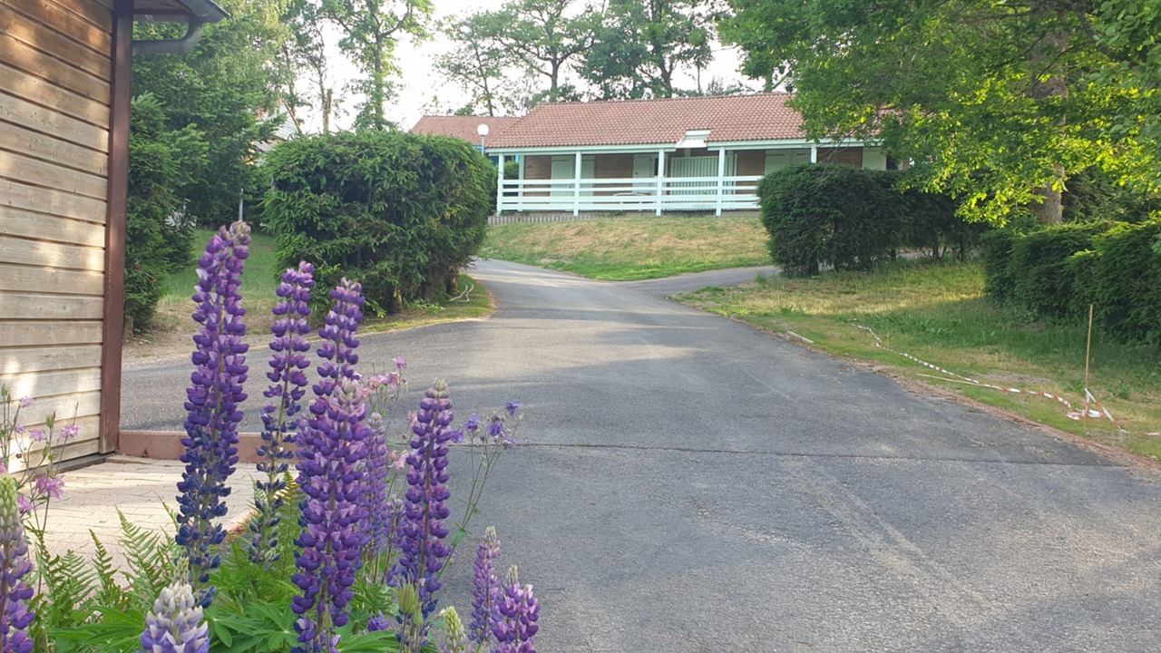 Photo of Outdoor in Blavignac