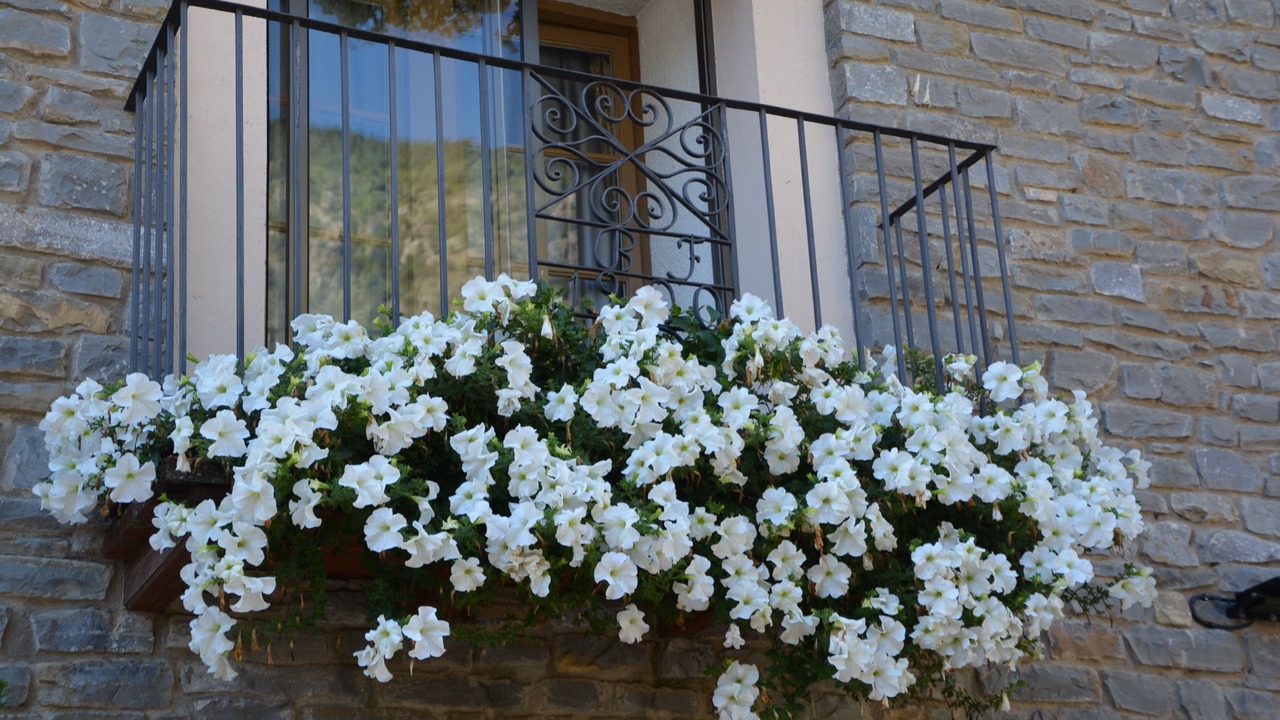 Photo of Outdoor in Espot