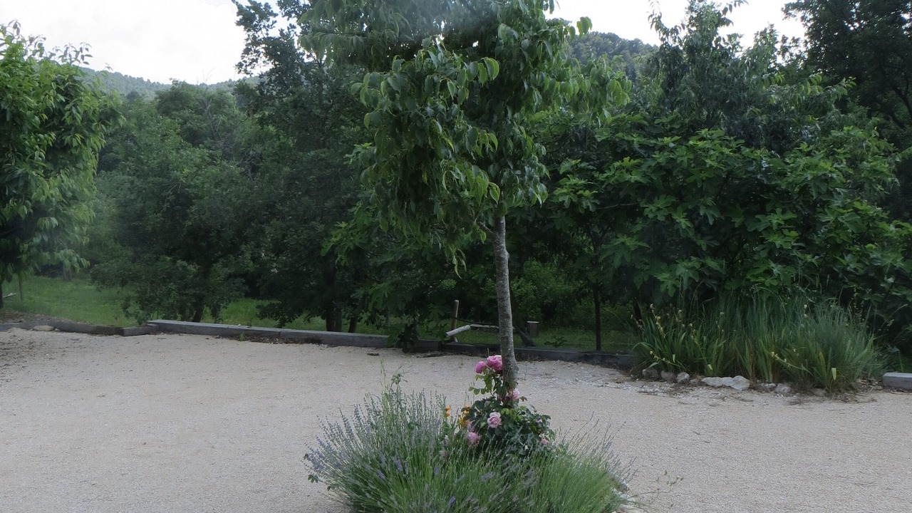 Photo of Outdoor in La Roque-sur-Pernes