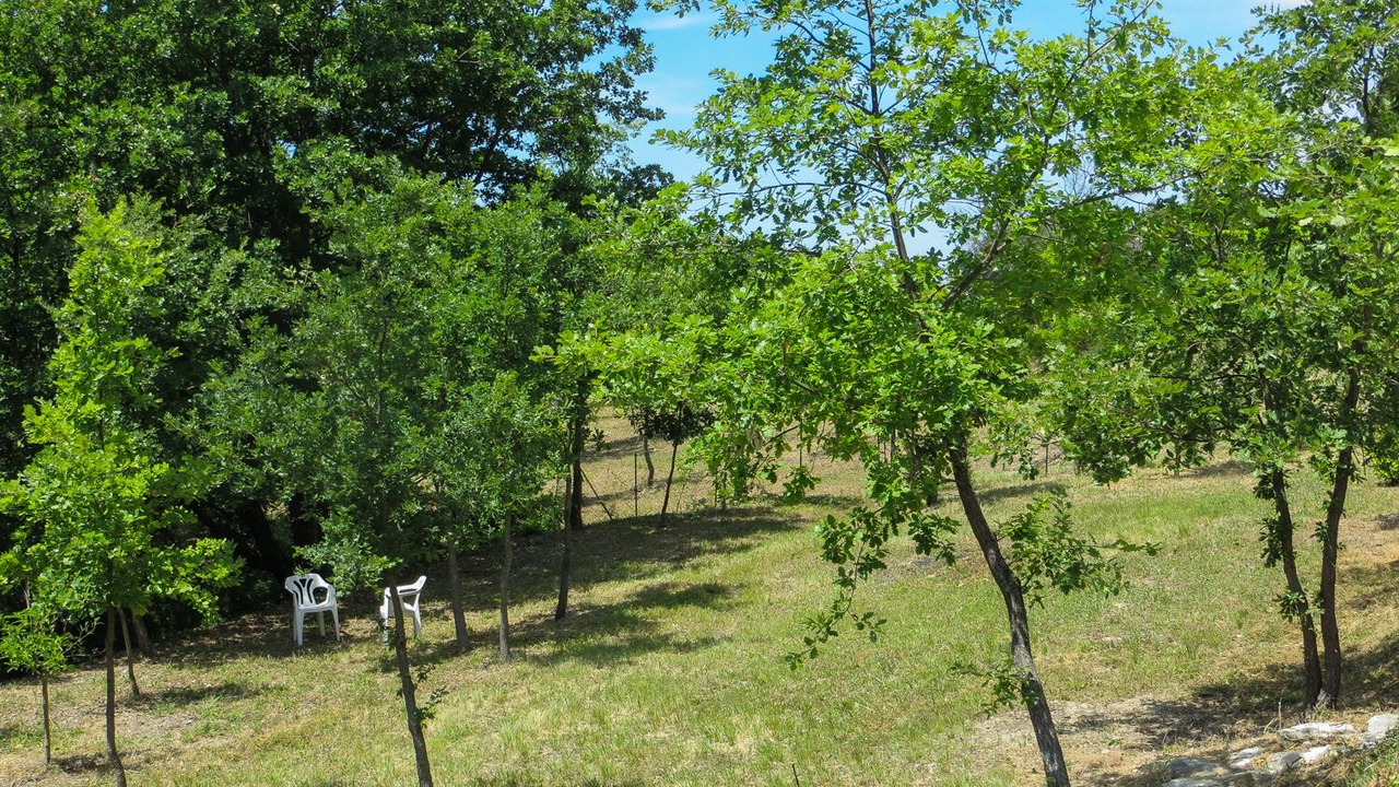 Photo of Outdoor in La Roque-sur-Pernes