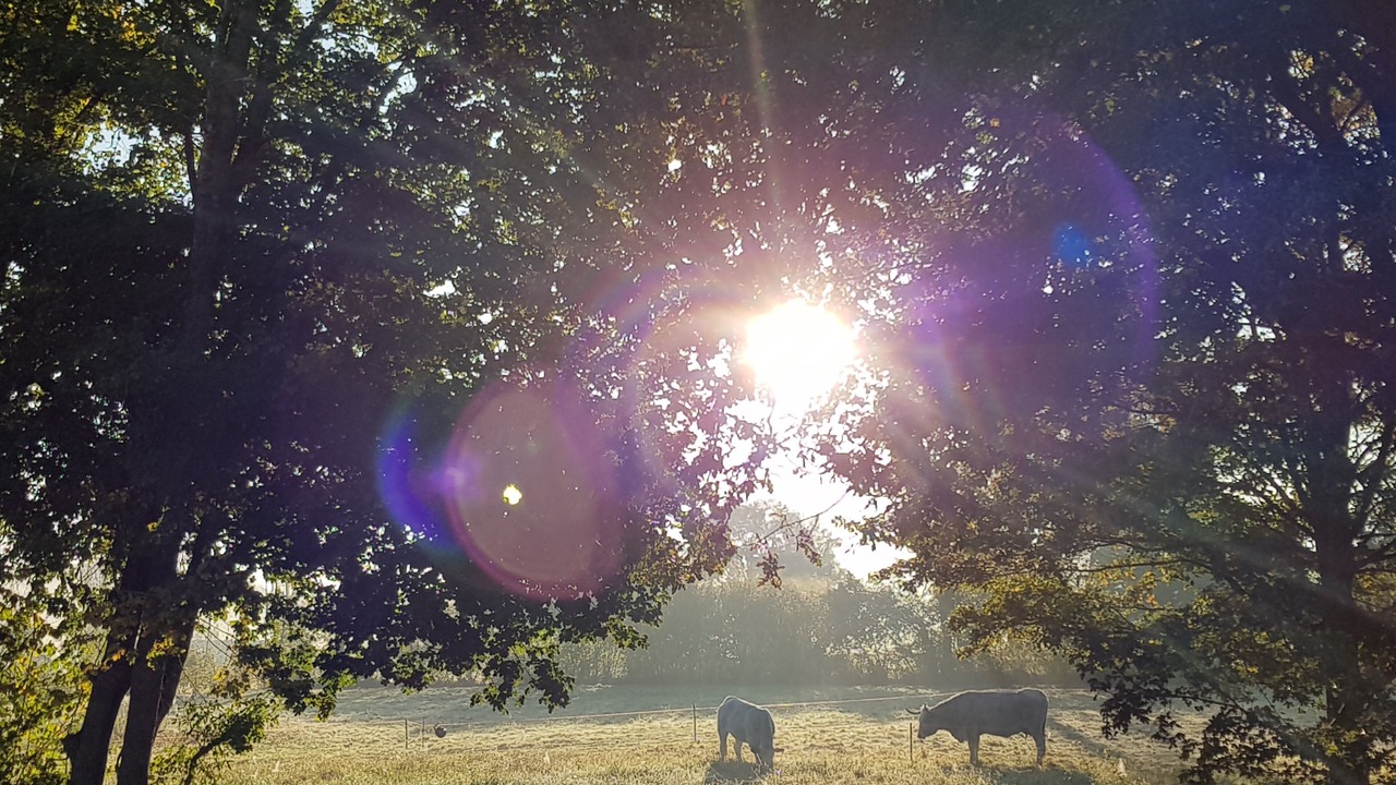 Photo of Outdoor in Rouede