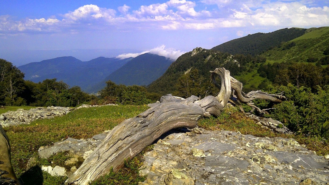 Photo of Outdoor in Rouede