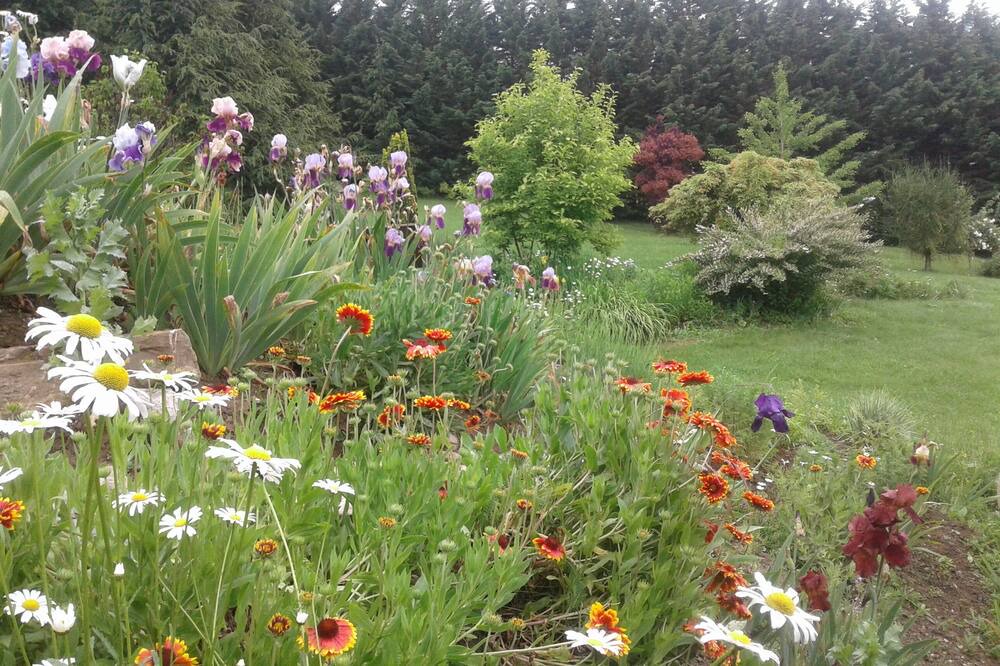 Photo of Outdoor in Poisat
