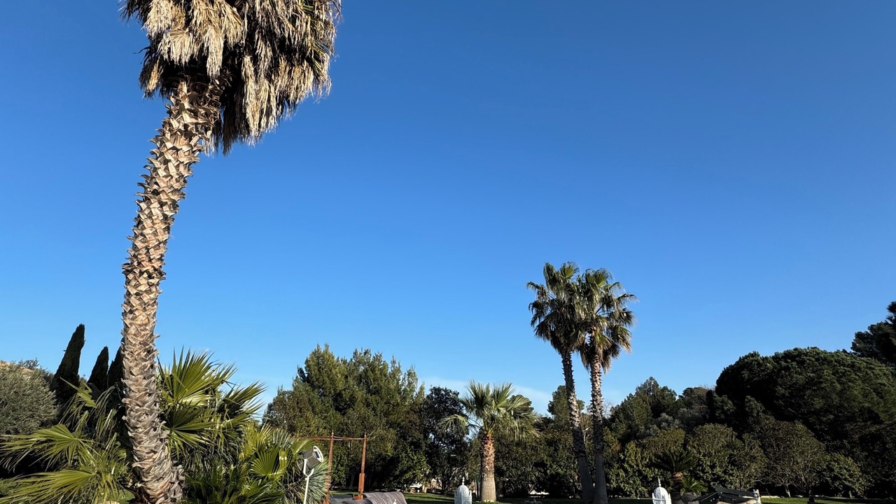 Photo of Outdoor in Saint-Nazaire