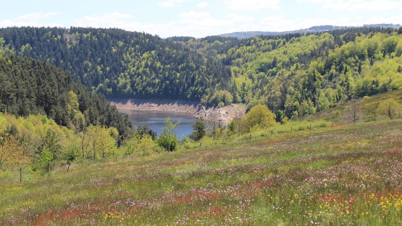 Photo of Outdoor in Anglards-de-Saint-Flour