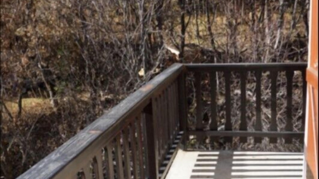 Photo of Outdoor in Saint-Sorlin-d'Arves