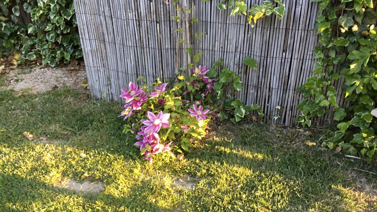 Photo of Outdoor in Camaret-sur-Aigues