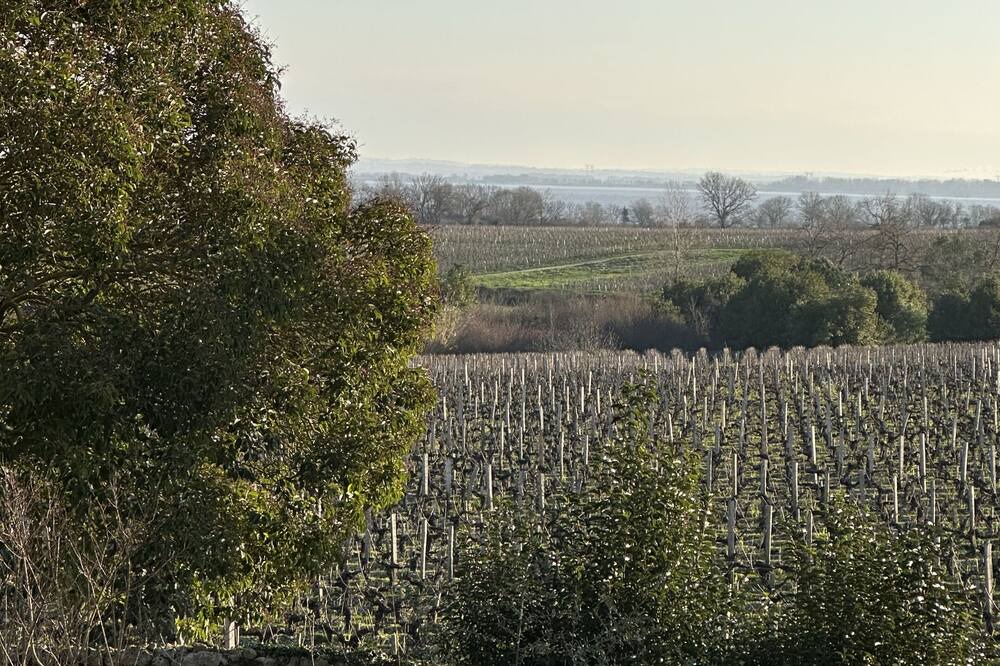Photo of Outdoor in Saint-Estephe