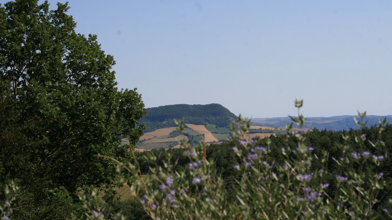 Photo of Others in Verrieres