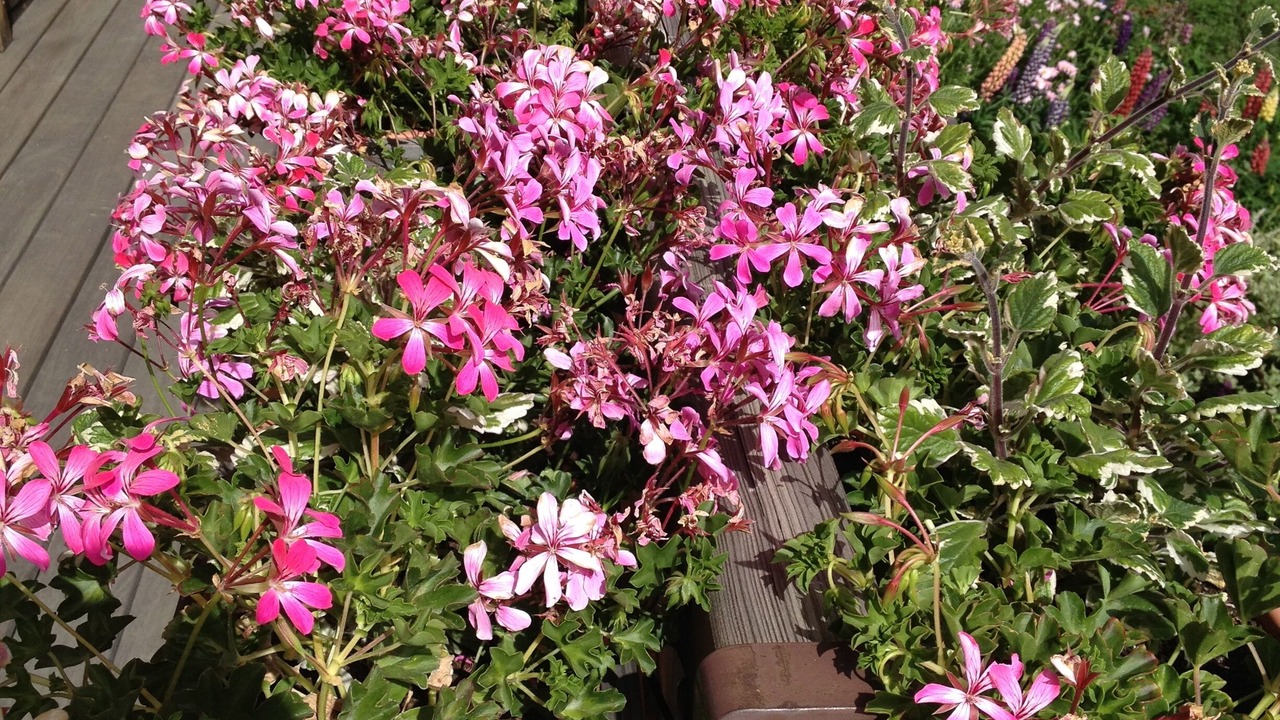 Photo of Outdoor in Bergers