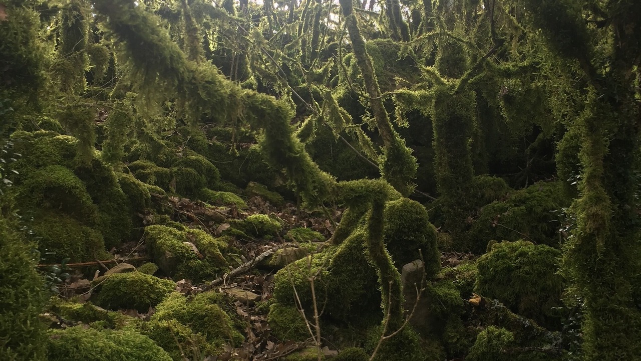 Photo of Outdoor in Versols-et-Lapeyre