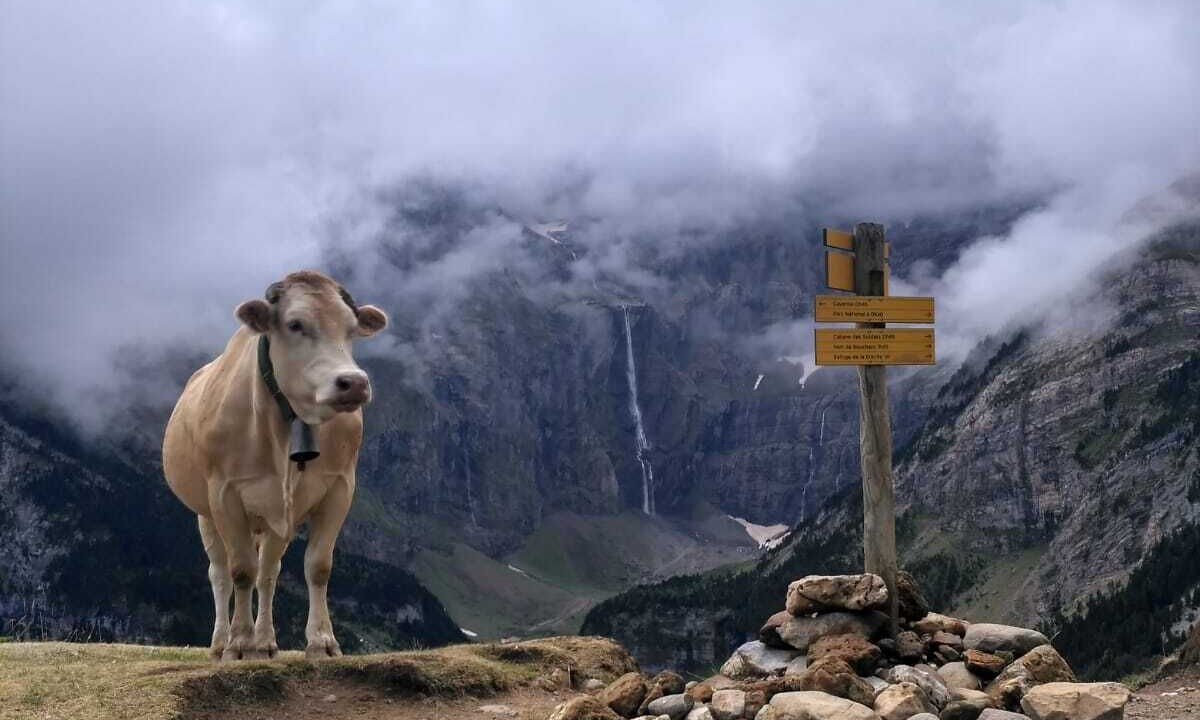 Photo of Others in Gavarnie-Gedre