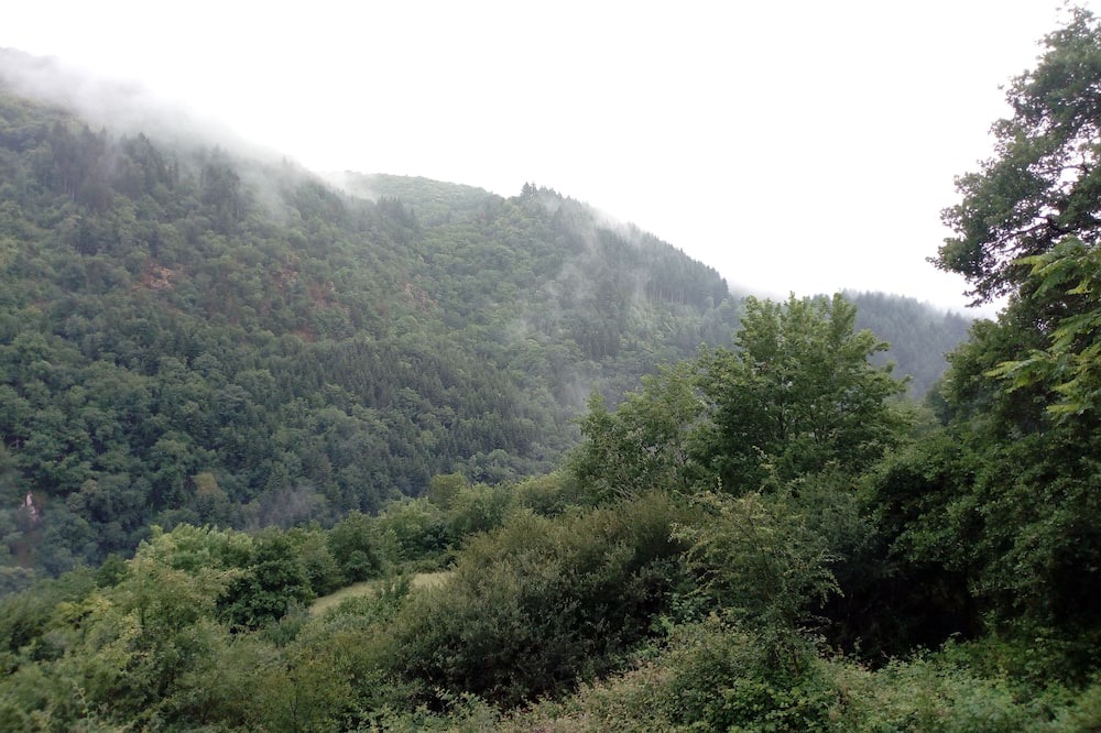 Photo of Outdoor in Bor-et-Bar