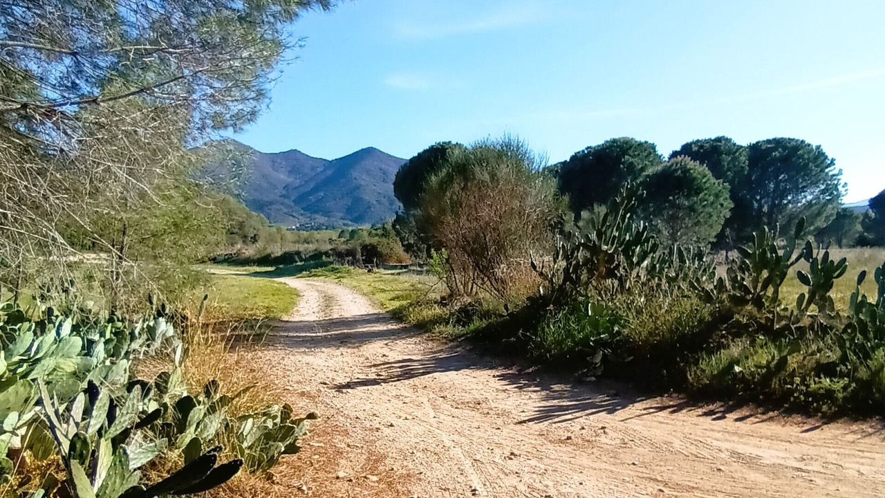 Photo of Outdoor in Montesquieu-des-Alberes