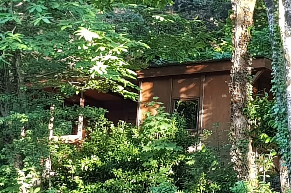 Photo of Others in St Gervais sur Mare