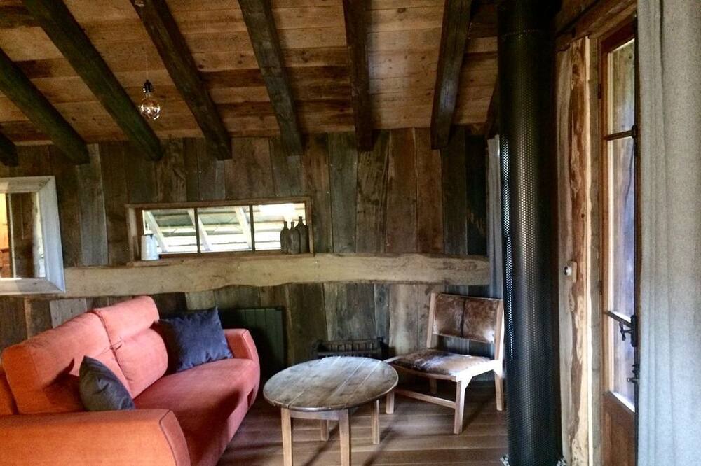 Photo of Livingroom in Trevignin