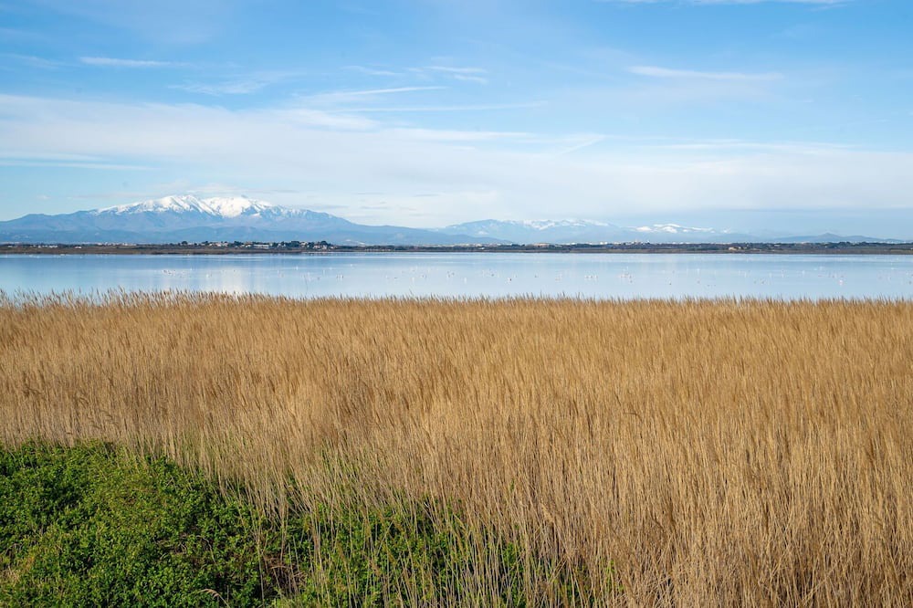 Photo of Outdoor in Canet-en-Roussillon