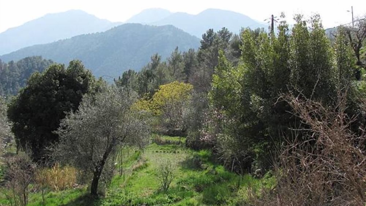 Photo of Outdoor in Breil-sur-Roya