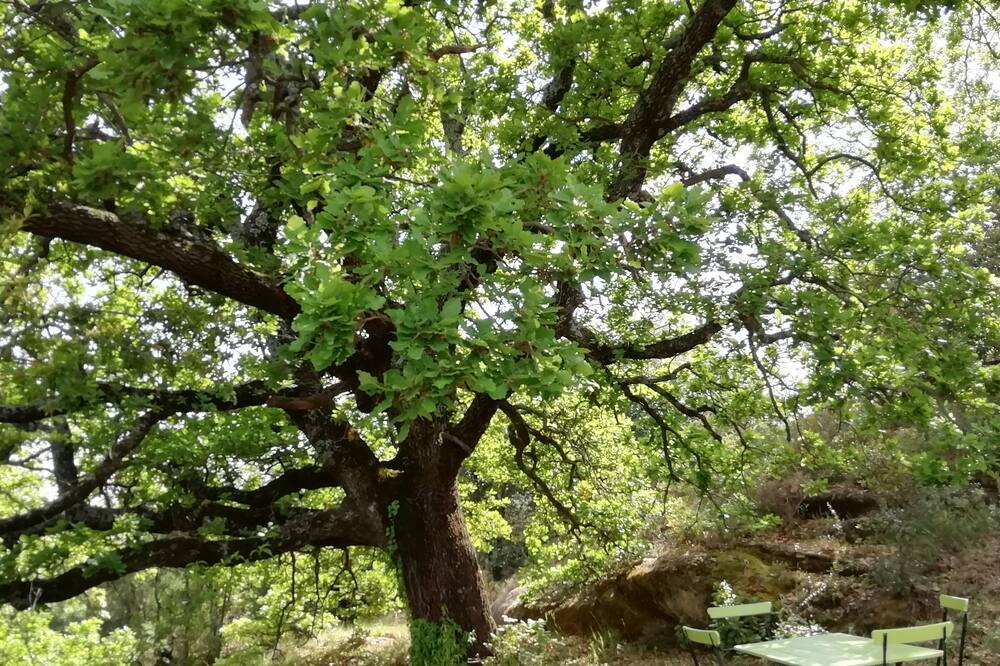 Photo of Outdoor in Merindol-les-Oliviers