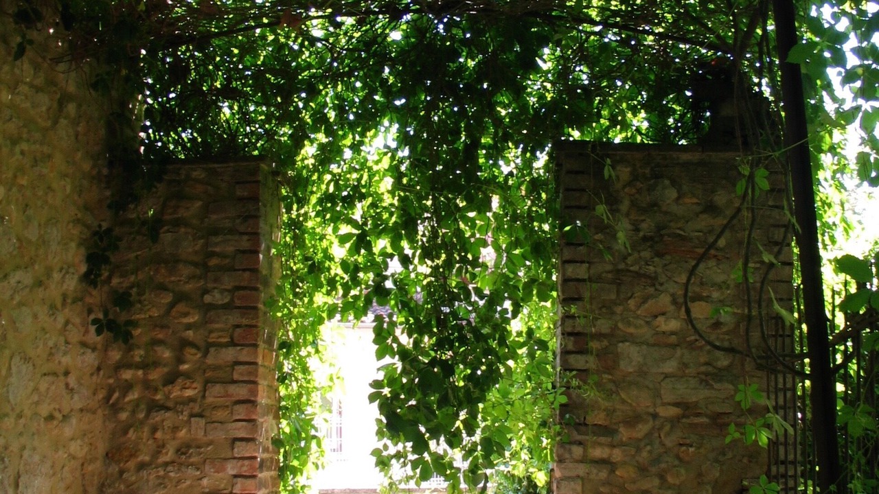 Photo of Outdoor in Saint-Julien-de-Cassagnas